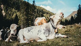 Landhotel Postgut