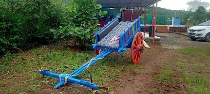 Shravani Farms