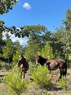 Les Yourtes de Provence