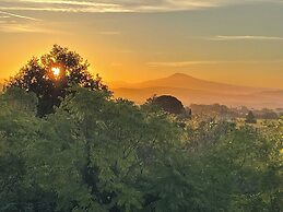 Les Yourtes de Provence