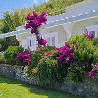 Hotel Albatros