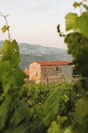 Canhoto Douro