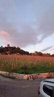 Canhoto Douro