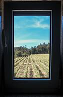 Canhoto Douro