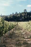Canhoto Douro