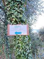 Appartamenti Albatros