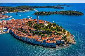 Villa With Private Pool Near Rovinj