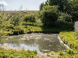 The Chard