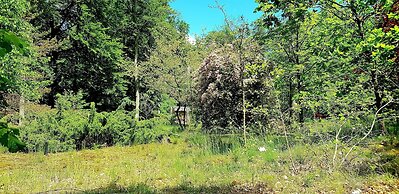 Sunday Resort Hafendorf Disability Access