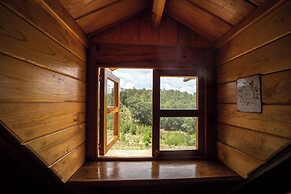 Canto del Bosque