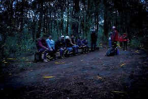 Canto del Bosque