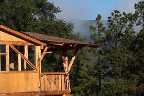 Canto del Bosque
