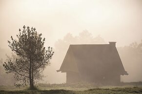 Canto del Bosque