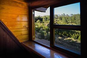 Canto del Bosque