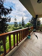 Luxury Mountain Villa w Pool & Fire Pits