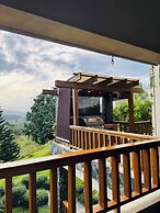 Luxury Mountain Villa w Pool & Fire Pits