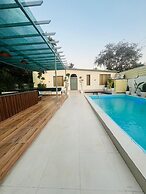 Olivine By Housiify