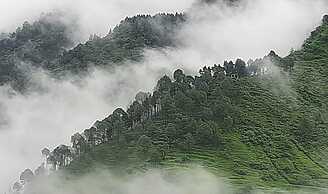 Richa Cottage and Home Stay