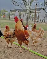 Countryside Heaven Farm