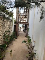 The View of Zanzibar