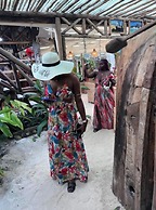 The View of Zanzibar