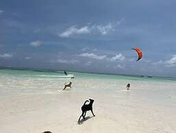 The View of Zanzibar