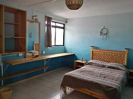 Casa del Árbol Hostel Xochimilco
