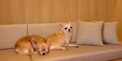 Rakuten STAY VILLA Hakone Gora