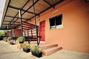 230 Sugar Brown Buriram