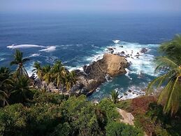 Cocos camp