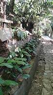 Kalimpong Bungalow