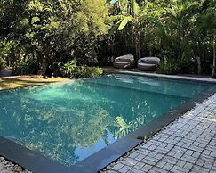 Jungle Nest Resort