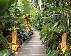 Jungle Nest Resort