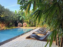 Jungle Nest Resort