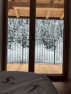 Wildbach Apartments Stubai