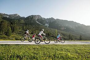 Wildbach Apartments Stubai