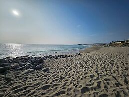 Surfers Paradise - Casa Caro