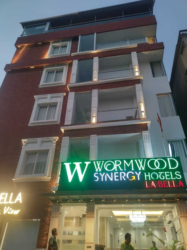 WORMWOOD SYNERGY LA BELLA