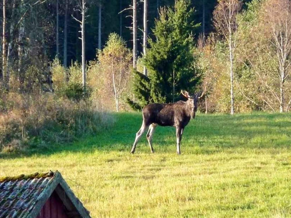 4 Person Holiday Home in Hallevadsholm