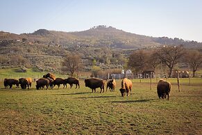 Terra dei Bisonti