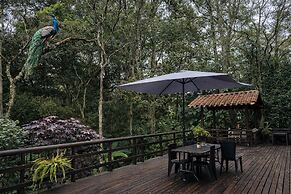 Candelaria Campestre