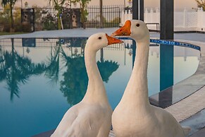 Maruwas luxury retreat