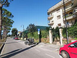La Perla Rara