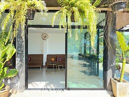 Oasis Phamee