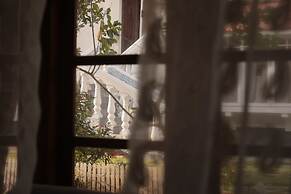 ELIVAAS Palliath House 3 BHK with Patio