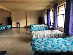 Kasa Kiwi Hostel and Travel