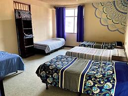 Kasa Kiwi Hostel and Travel