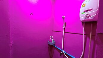 Pink Kraken Hostel