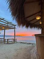 Jungle Gili Air
