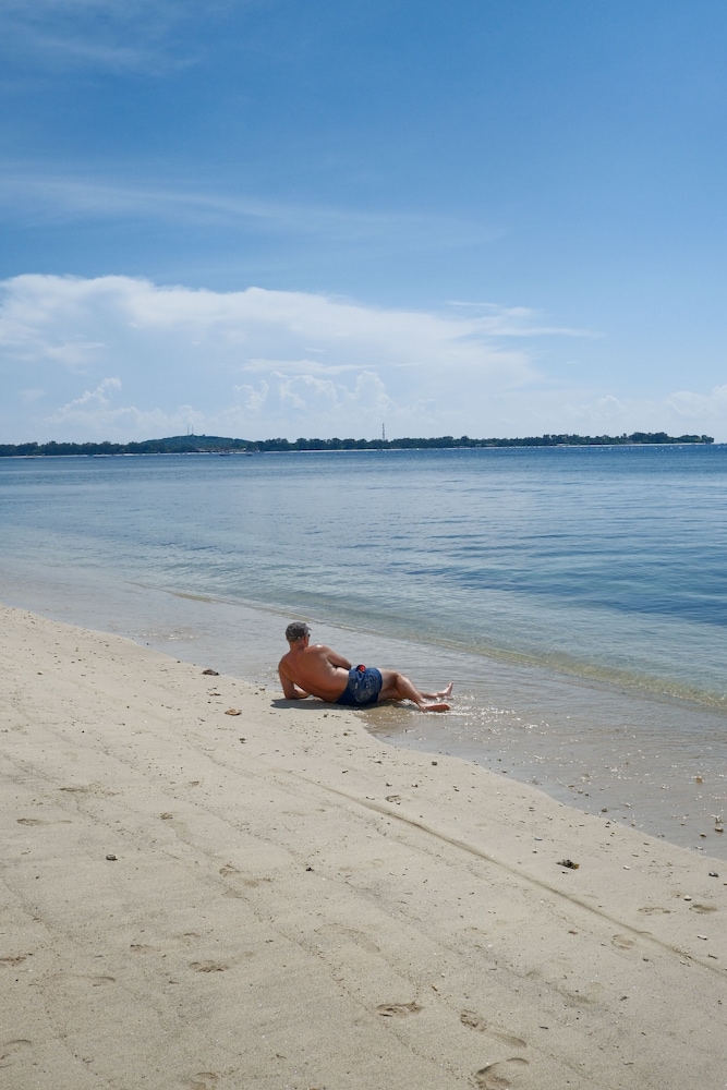 Jungle Gili Air